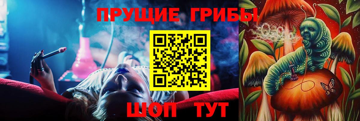 Туймазы  сколько стоит  Псилоцибиновые грибы MAGIC MUSHROOMS  Вход с VPN  Псилоцибиновые грибы Cubensis 
